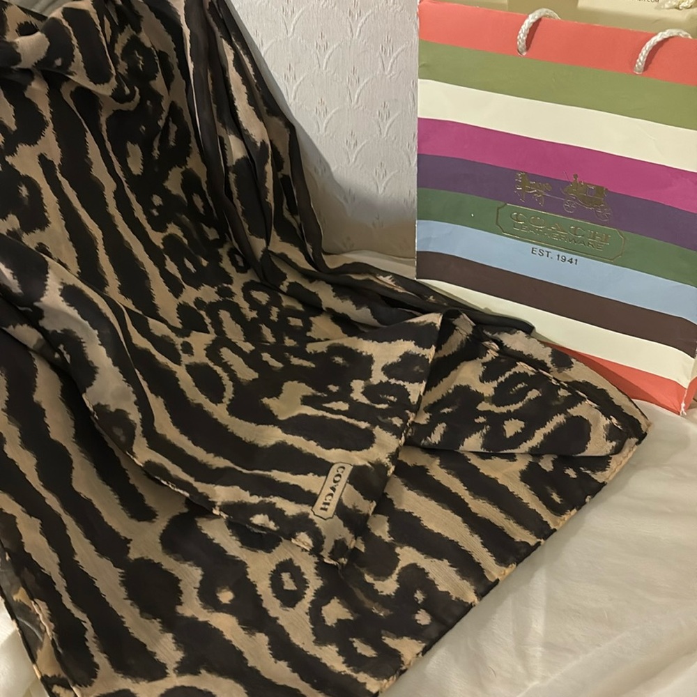 Coach Scarf and Bag